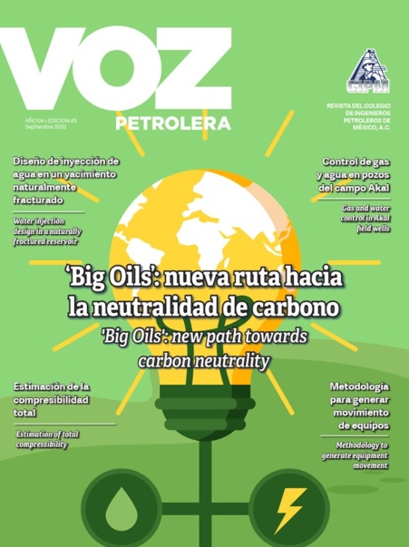 Texto Alterno Imagen