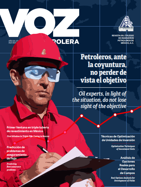 Texto Alterno Imagen