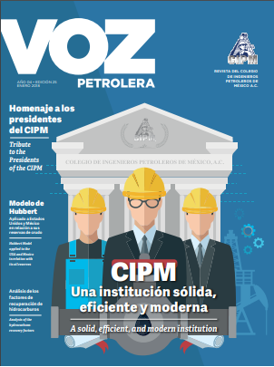 Texto Alterno Imagen