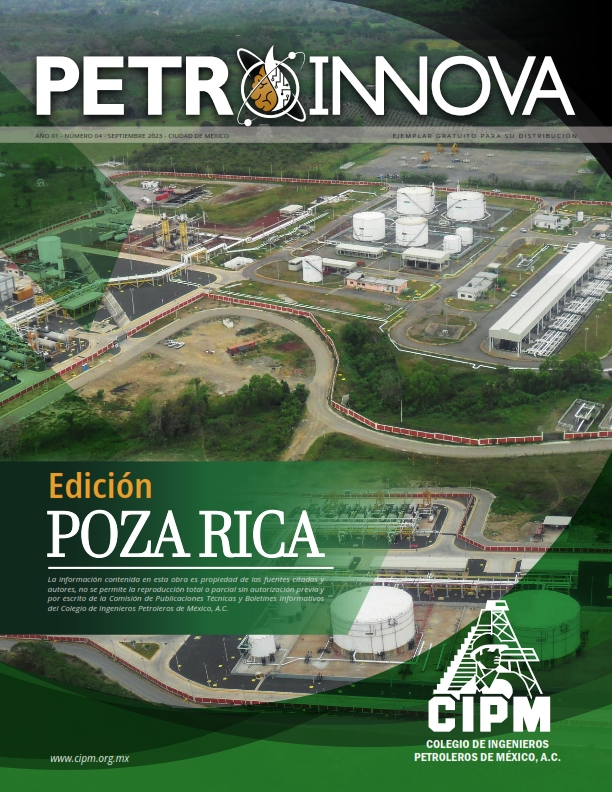 Texto Alterno Imagen