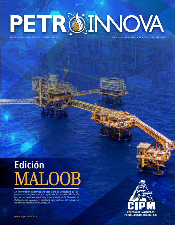 Texto Alterno Imagen