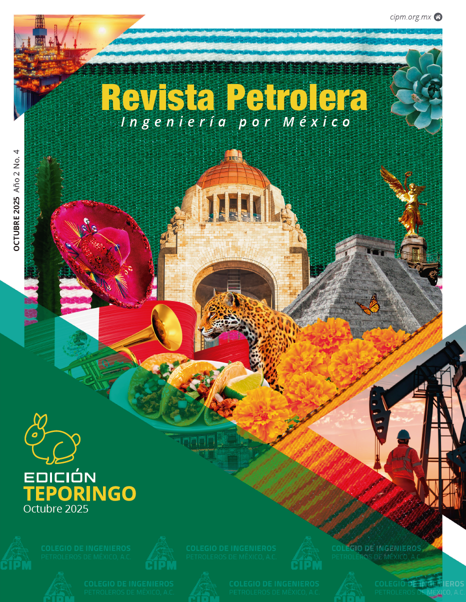 Texto Alterno Imagen