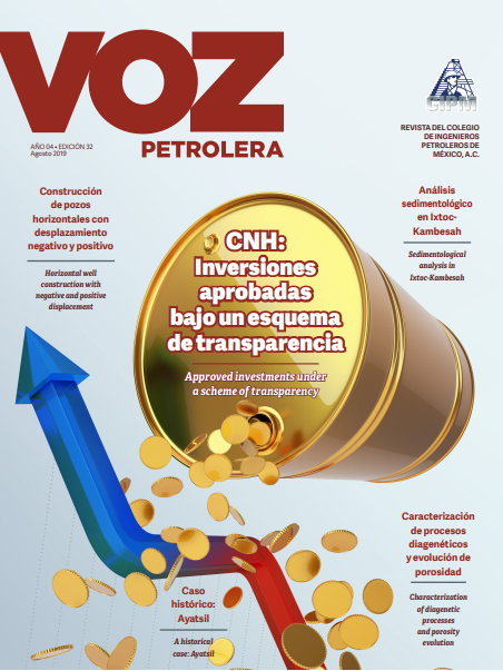 Texto Alterno Imagen