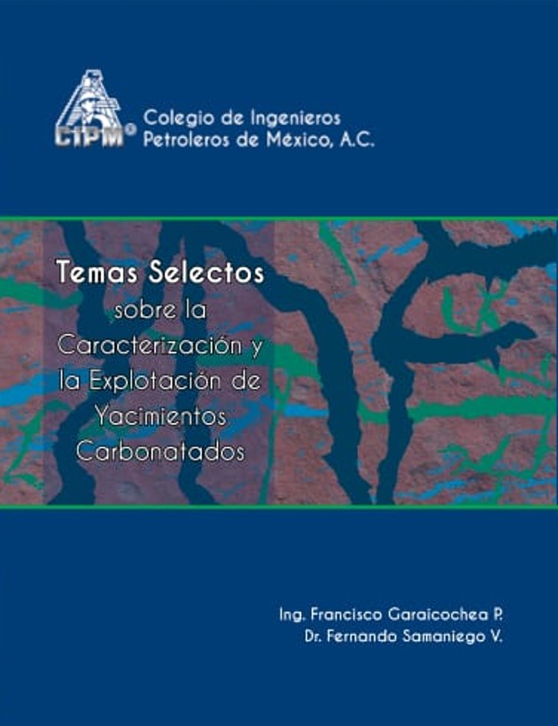 Texto Alterno Imagen