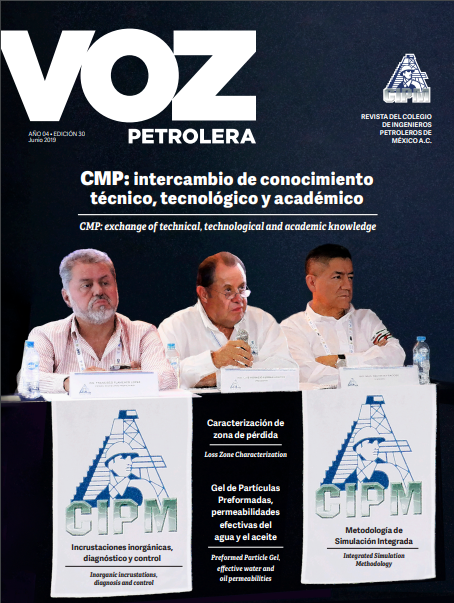 Texto Alterno Imagen