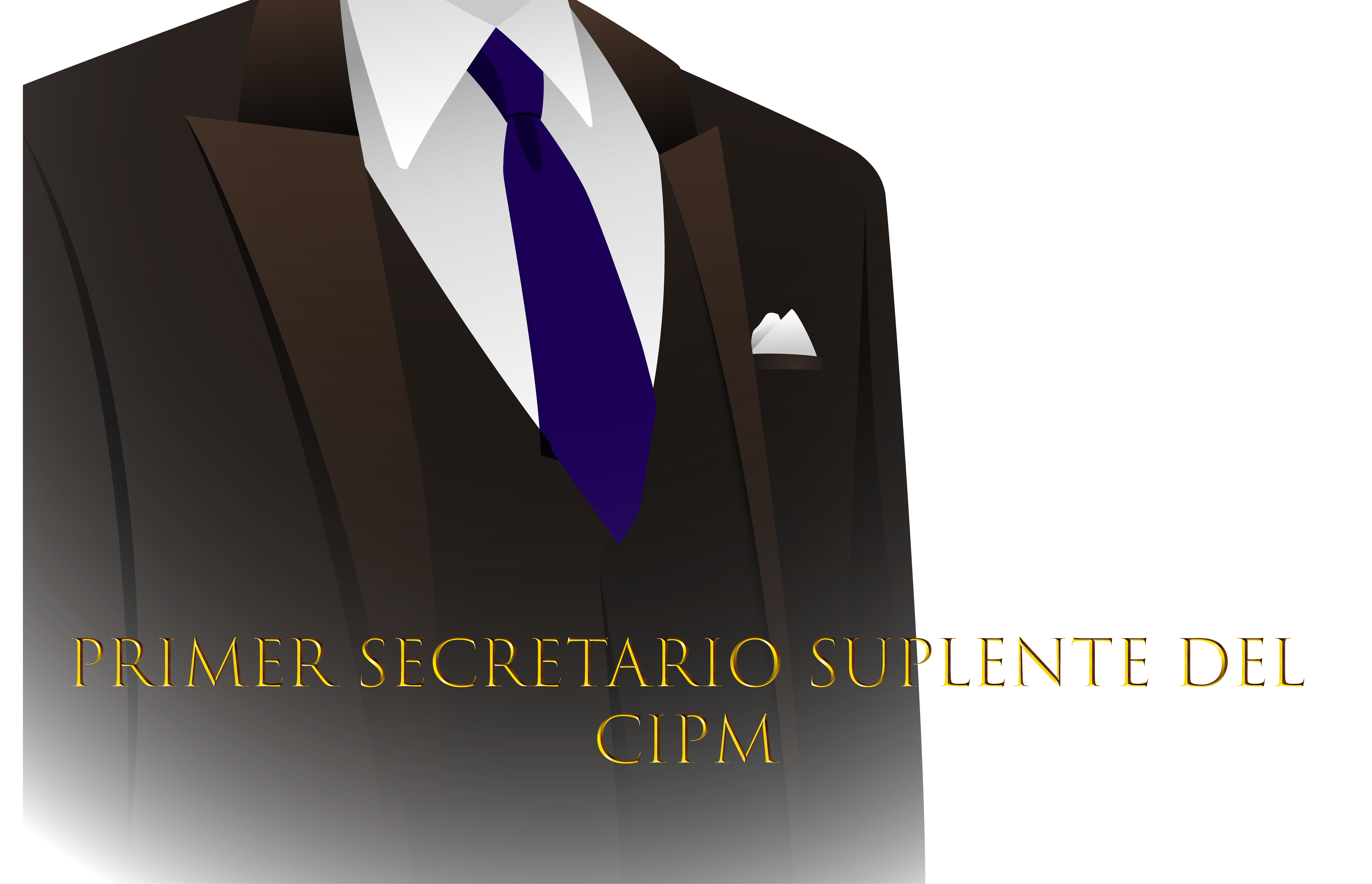Imagen para Primer Secretario Suplente 