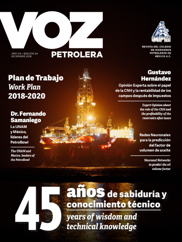 Texto Alterno Imagen