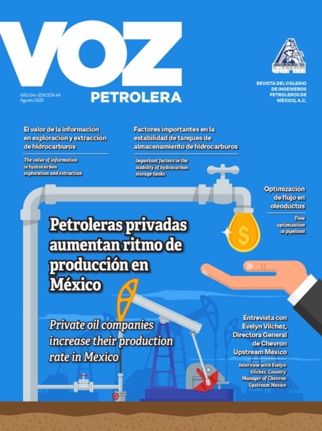 Texto Alterno Imagen