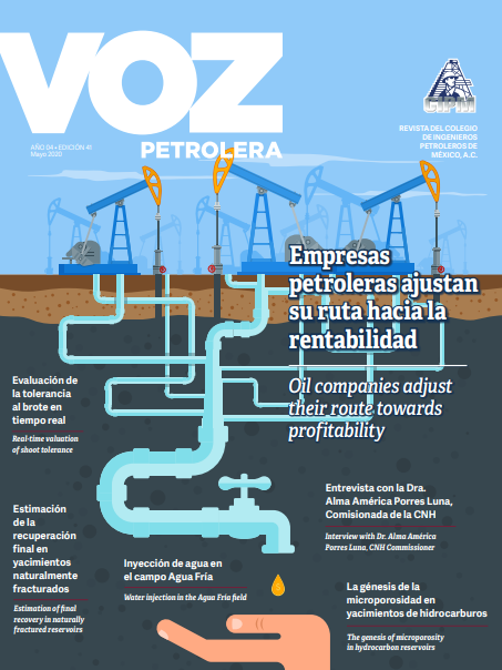 Texto Alterno Imagen